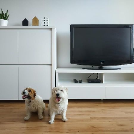Uroczy Apartament Pod Skarpa Wadowice Dış mekan fotoğraf